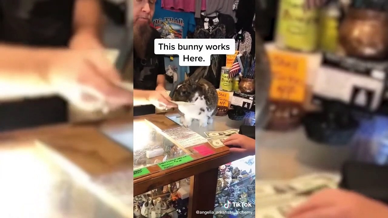 Wah Bete Mauj Kardi  Sahi Khel Gaya Bc  Funny Memes Whatsapp Status Video