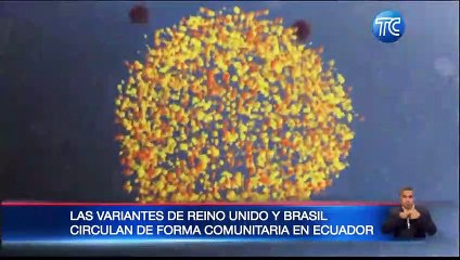En Ecuador circula la cepa británica y brasileña de COVID-19