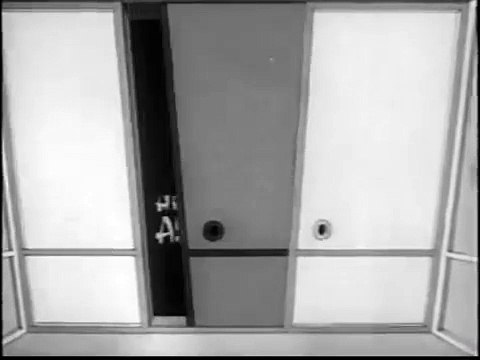 LOONEY TUNES CARTOON- Mr. Hook in _Tokyo Woes_