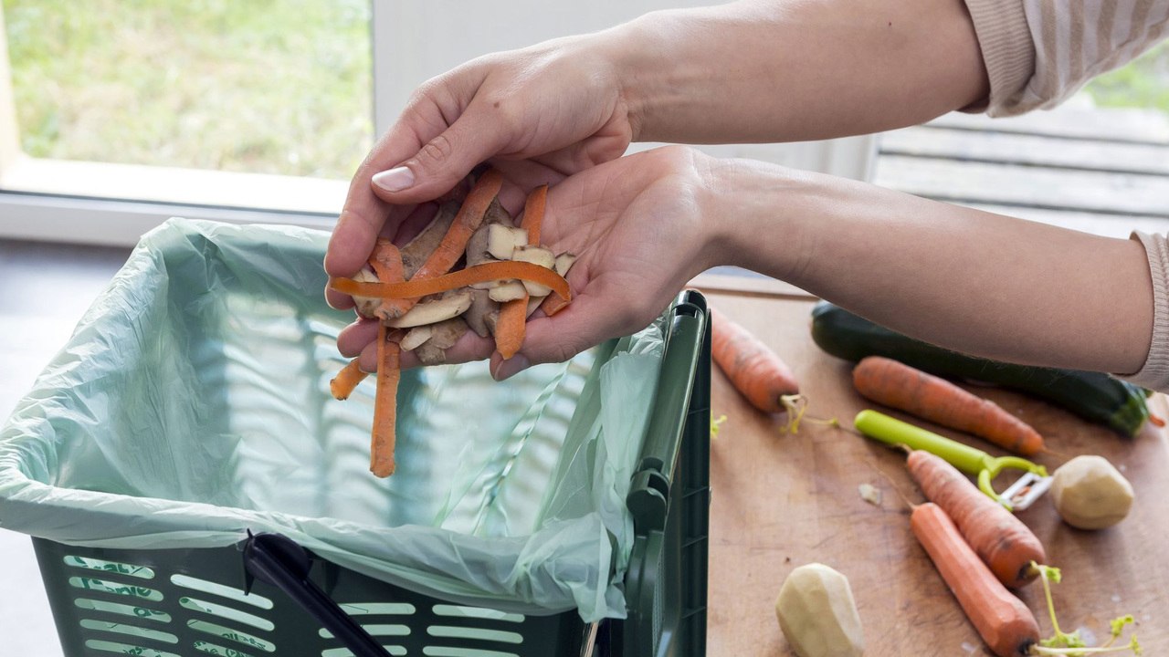 How to Start Composting This Earth Day