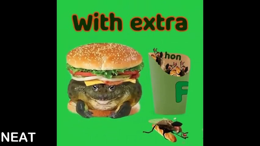 Memes So Funny That I Couldn'T Stop Laughing