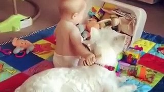 Adorables Bébés Jouant Avec Des Chiens  - Compilation De Bébés Drôles