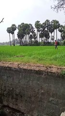 Maduraimuthu Comedy Tamil pasanga shorts