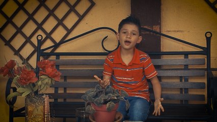 dbb-nace-estrella-210421