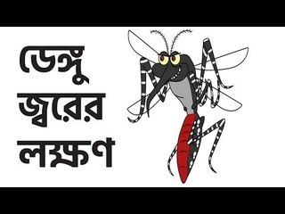 ডেঙ্গু জ্বরের লক্ষণ | jagonews24.com
