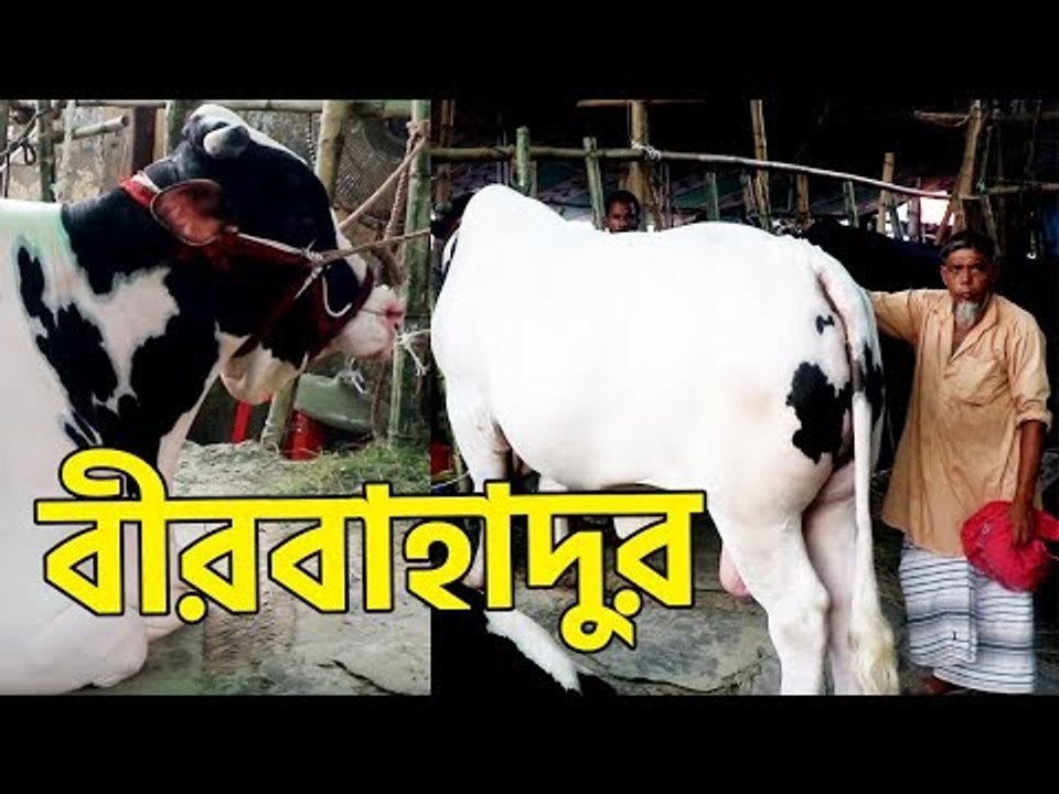 ছেলের রেখে যাওয়া বীরবাহাদুরকে বিক্রি করে তিন নাতনিকে বিয়ে দেব | jagonews24.com