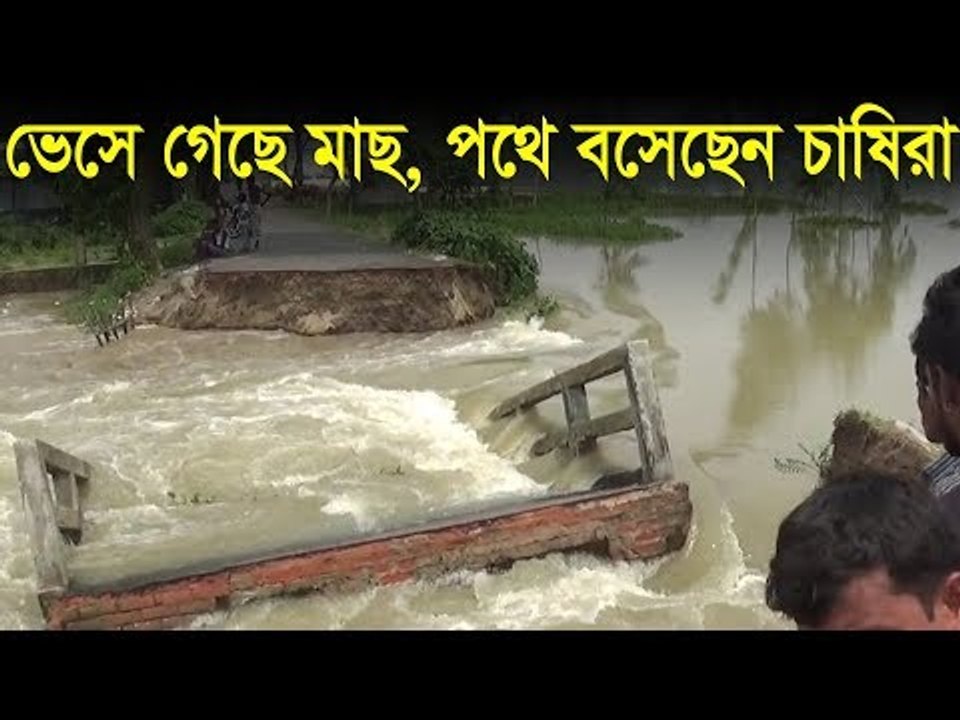 ভেসে গেছে মাছ, পথে বসেছেন চাষিরা  | jagonews24.com