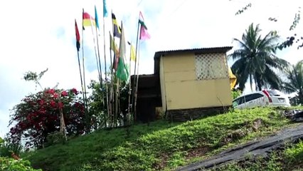 Man Electrocuted Carrying Jhandi