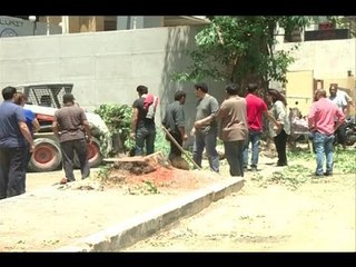 بلدية بيروت تقطع أشجار الكينا المعمّرة  - حسان الرفاعي