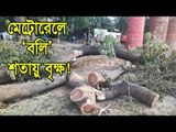 মেট্রোরেলে ‘বলি’ শতায়ু বৃক্ষটি | Jagonews24.com