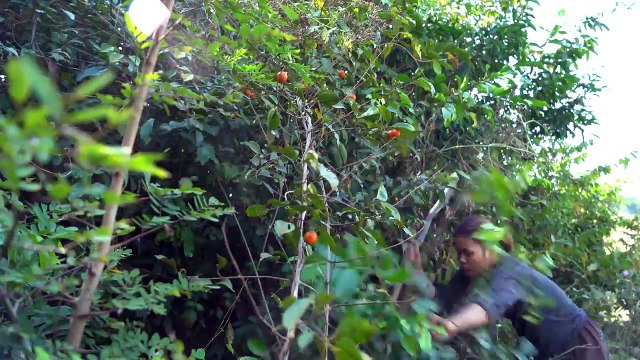Girl Living Off The Grid, Build The Most Beautiful Bamboo Villa Interior To Live Off Grid