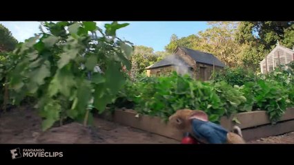 Peter Rabbit (2018) - Playing With Fire Scene (8/10) | Movieclips