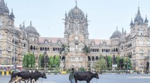 Maharashtra govt orders stricter COVID curbs, Know details