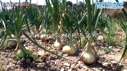 東野・岡村の旅猿19 ～プライベートでごめんなさい… 2021年4月21日 「メッセンジャー黒田おすすめ 大阪〜淡路島の旅」最終話