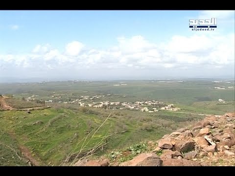 النائب حسن فضل الله كشف المَستور.. من يحاول الإستيلاء على الأملاك العامة؟ - جويل الحاج موسى