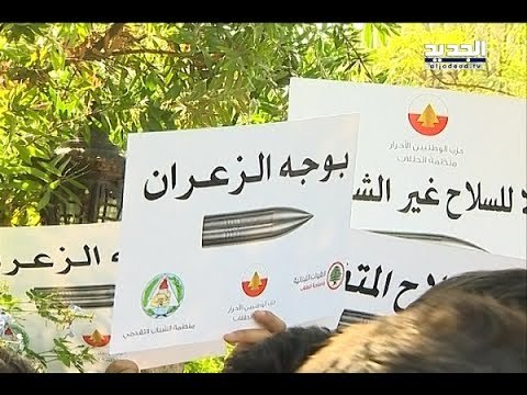 حملة لا لسلاح الزعران تتابع تحركاتها – الين حلاق