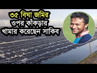 ৩৫ বিঘা জমির ওপর কাঁকড়ার খামার করেছেন সাকিব  | Jagonews24.com