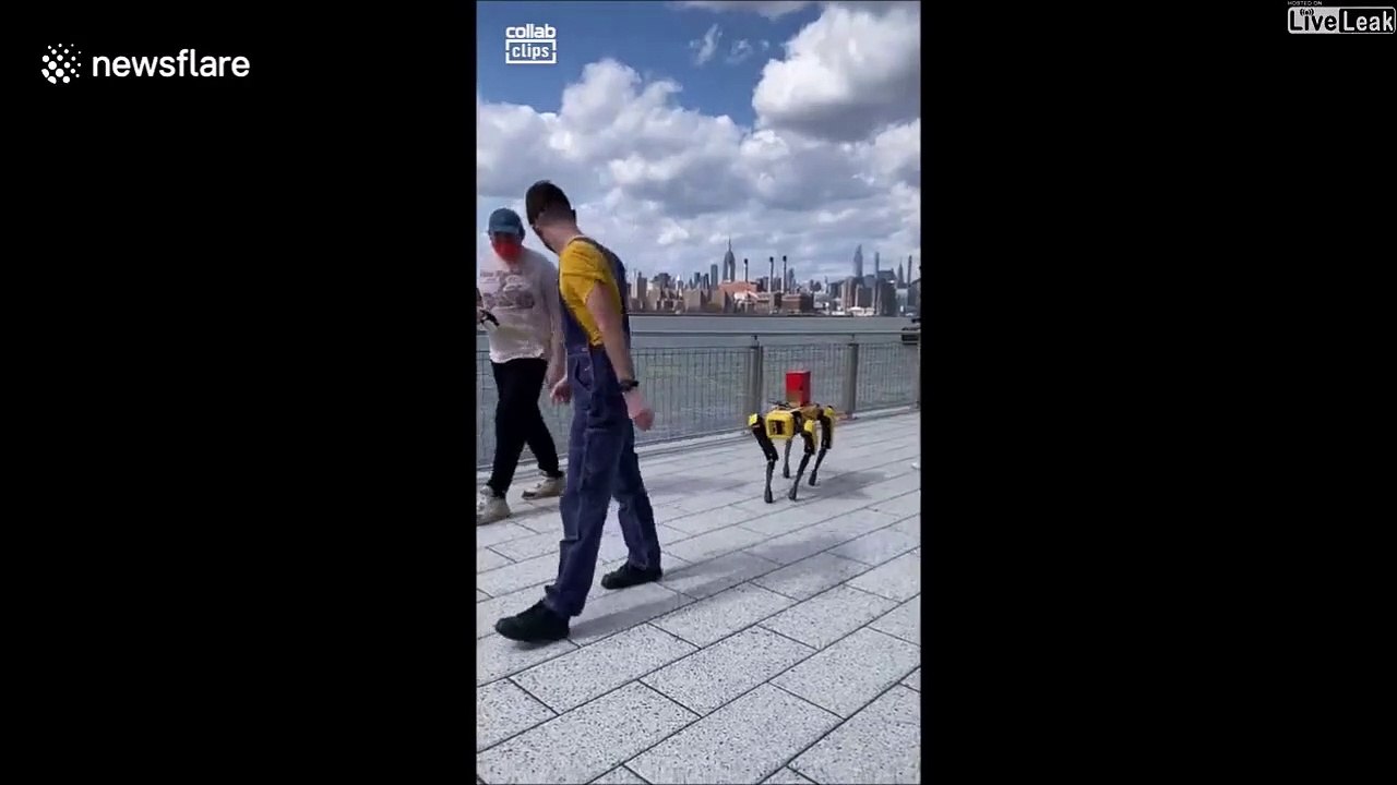 Il promène son chien... robot