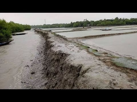 সাতক্ষীরা উপকূলে নদীর পানি বৃদ্ধি, ঝুঁকিতে বেড়িবাঁধ | Jagonews24.com