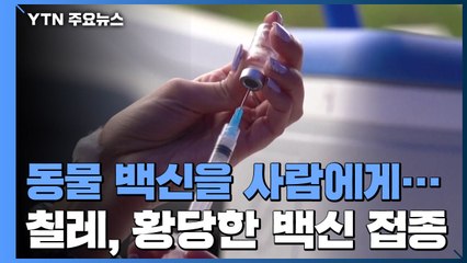 '개 코로나 백신' 맞은 사람들...칠레서 발생한 황당 사건 / YTN
