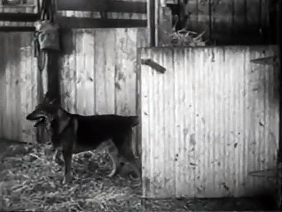 Amor En Otoño Pelicula Comedias Románticas En Español Latino 2020 / Comedia Romanticas