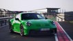 Porsche 911 GT3 (PDK) Design in Python Green