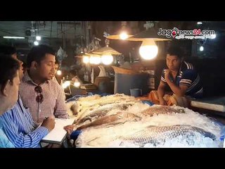 কারওয়ানবাজারে মাছ পরীক্ষা করছে বিএফএসএ | Jagonews24.com