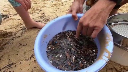 Tras la inacción del gobierno de Trump, EEUU vuelve a la lucha climática reuniéndose con líderes de 40 países
