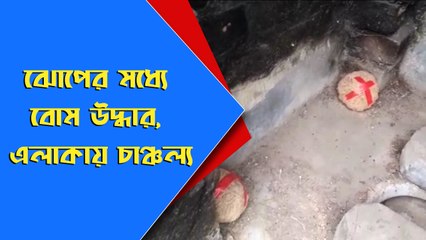 আমডাঙা ৮৩ নম্বর বুথ সংলগ্ন রংমহল এলাকায় বোম উদ্ধার। Oneindia Bangla