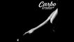 CARBO - INDUR - k21 extended