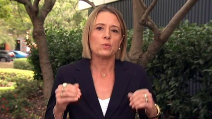 Shadow Minister discusses flight reduction from India to Australia