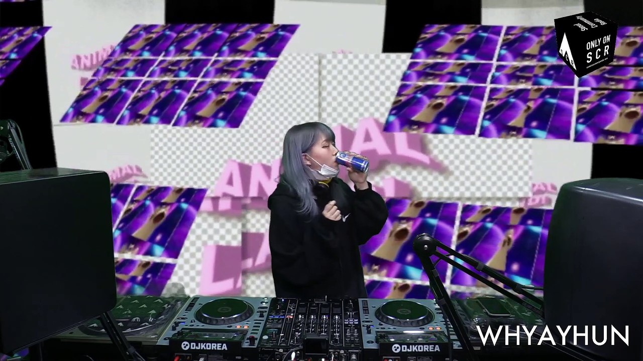 Animal Land vol.1