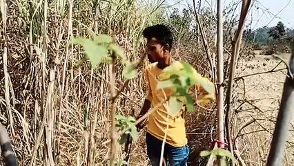 Cid Bangla Comedy Video/Cid Comedy Video /New Bangla Comedy Video/Sachin Mahato Comedy Video/2021