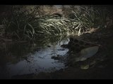 نهر السرطان يغرق قرية بقاعية بالشؤم والموت! - تحقيق ميان صبح