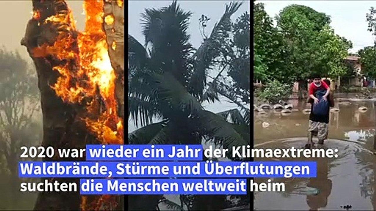 Brände, Stürme, Überschwemmungen: Klimaextreme im Jahr 2020