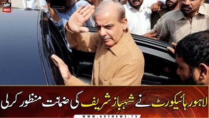 Shehbaz Sharif gets bail in assets case