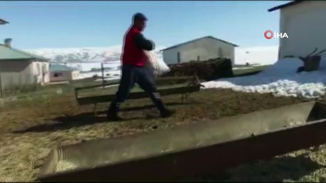 Devlet desteği alan eski hükümlü, küçükbaş hayvan besiciliği işine başladı