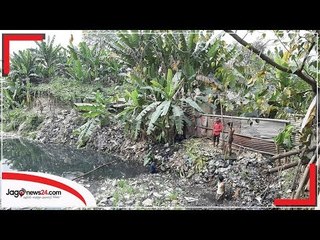 মশা মারতে মাঠে তারা | Jagonews24.com
