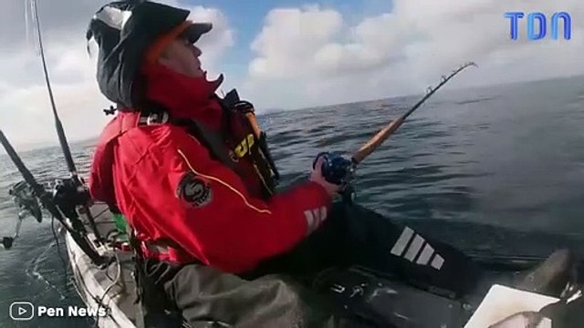 Un requin attaque un pêcheur et le fait passer par-dessus bord