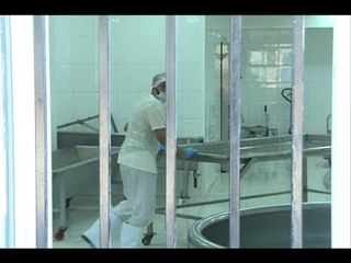 "الجديد" تدهم معملا للالبان والاجبان في زغرتا! - جويل الحاج موسى