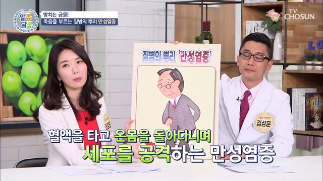 몸속의 시한폭탄 급성염증 vs 만성염증 차이점은? TV CHOSUN 20210422 방송