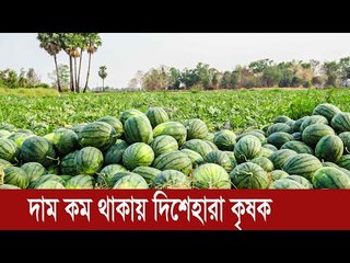 কৃষকের গলায় বিঁধে আছে তরমুজ | Jagonews24.com