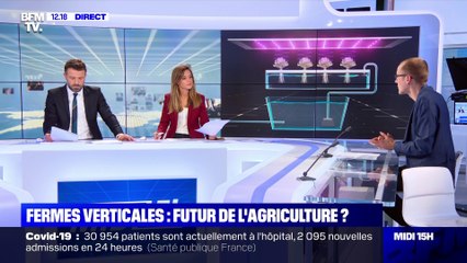 Fermes verticales : futur de l'agriculture ? - 22/04