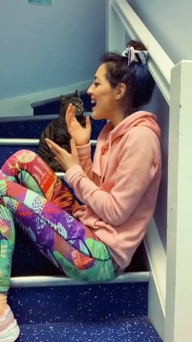 Funny cat