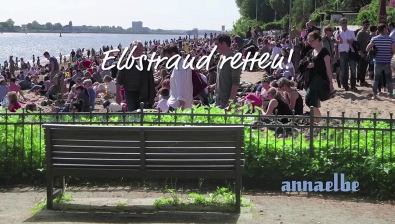 Initiative "Elbstrand retten!" stellt Anliegen in der Bezirksversammlung vor, Teil 2