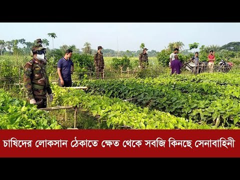 চাষিদের লোকসান ঠেকাতে ক্ষেত থেকে সবজি কিনছে সেনাবাহিনী | Jagonews24.com