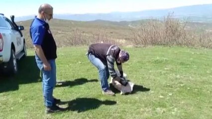 Kaybolan yaşlı adamı arama çalışmaları devam ediyor