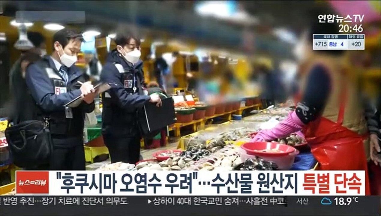 "후쿠시마 오염수 우려"…수산물 원산지 특별 단속
