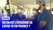 Troisième vague: où en est l'épidémie en France ?