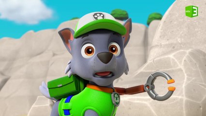 روكي عالق في الجزيرة والسبب..